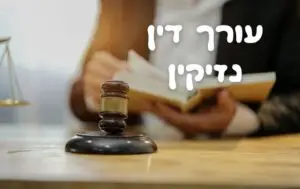עורך דין נזיקין נעים לביא